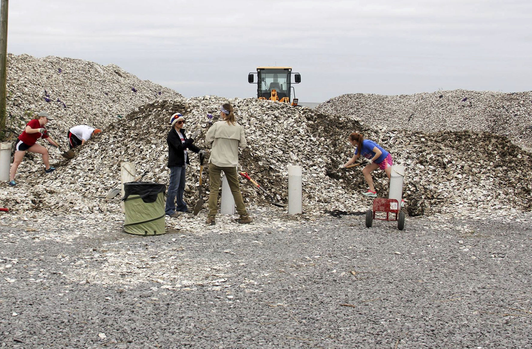 Oysters Restaurants To Reef